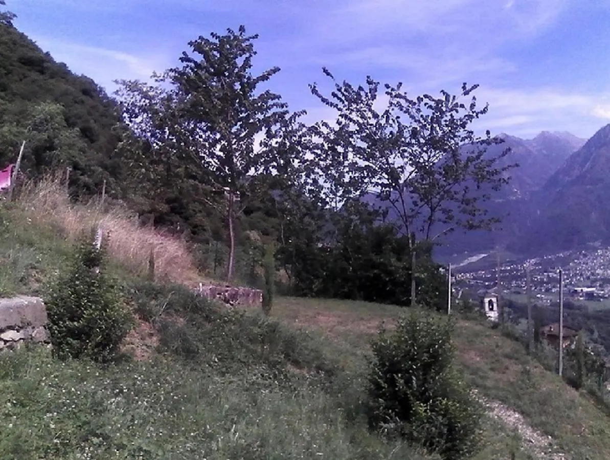 Civo